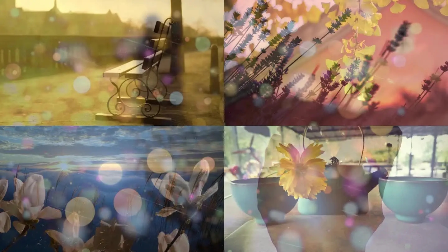 张爱玲｜人生太长，我们怕寂寞，人生太短，我们怕来不及