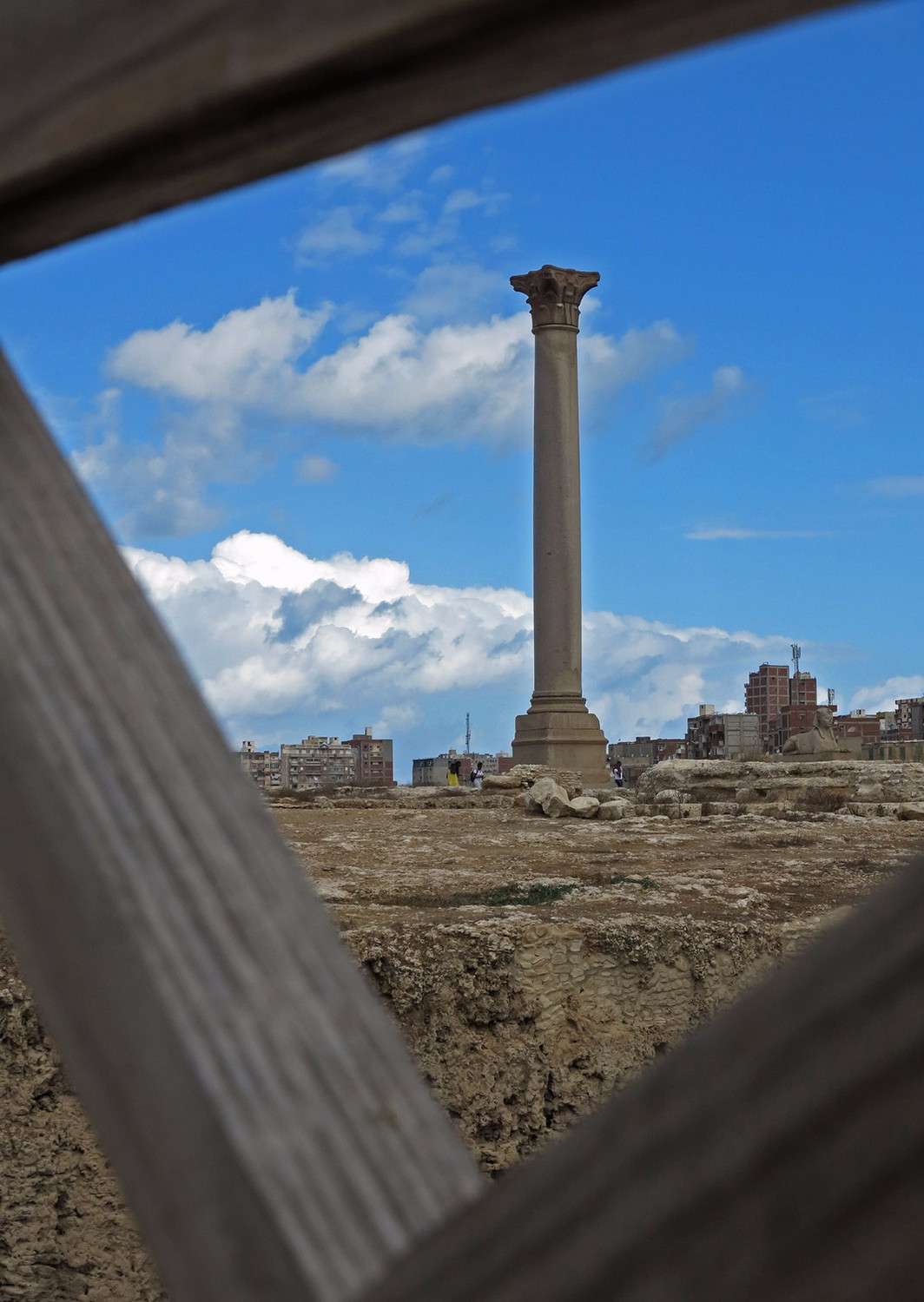 《亚历山大的征服与神话》| 仰慕亚历山大的罗马人